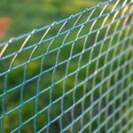 reasons why anti bird netting is the best solution for your building