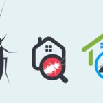 the impact of pests on property value and how to mitigate it