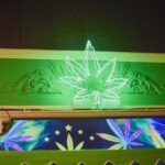 discover cannabis culture in panama city beach