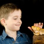 building trust and affection with your reptile pet