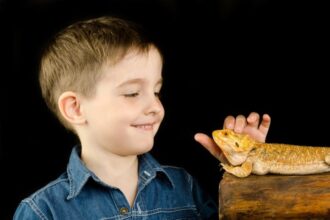 building trust and affection with your reptile pet